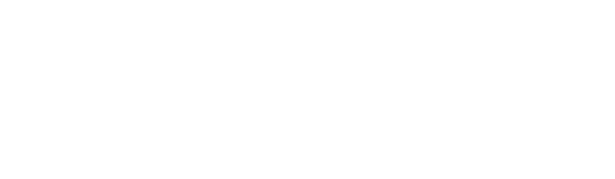 evrfx_lg_rgb_wht_rev-Aug-28-2025-03-17-22-8298-PM